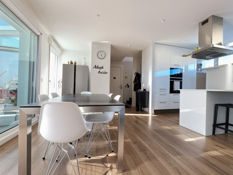 Magnificent Minergie and contemporary villa, Bellevue (3)