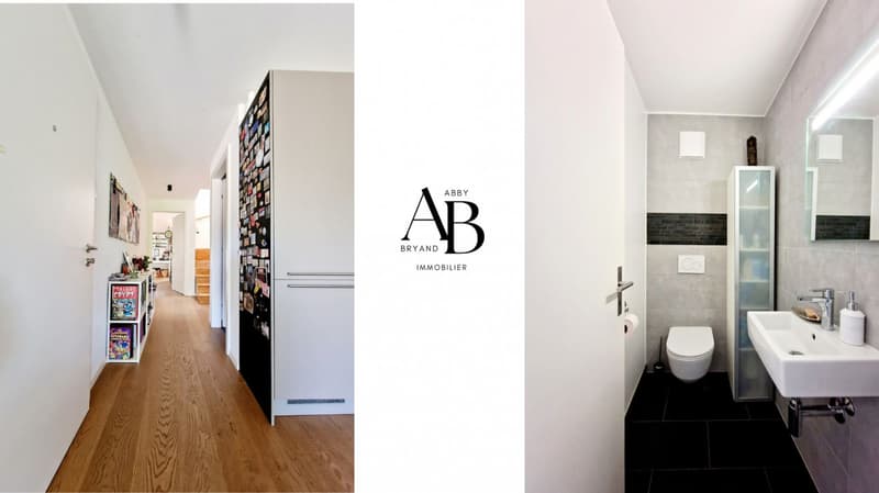 Duplex Melodie, ideally located in Gingins, just 5 minutes from Nyon (8)