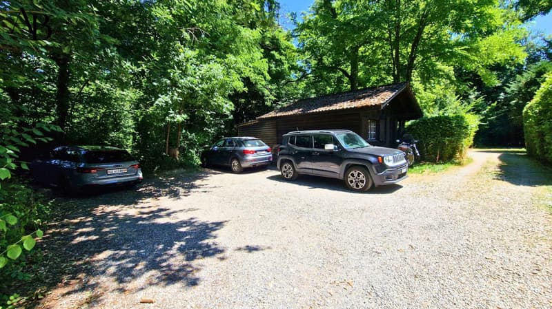 Die zwei Ahorne: Charmantes Appartement mit zwei großen Terrassen (12)