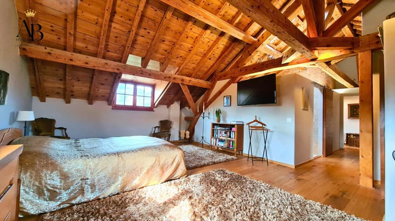 The prestigious and authentic family property, 5 minutes from Nyon (5)