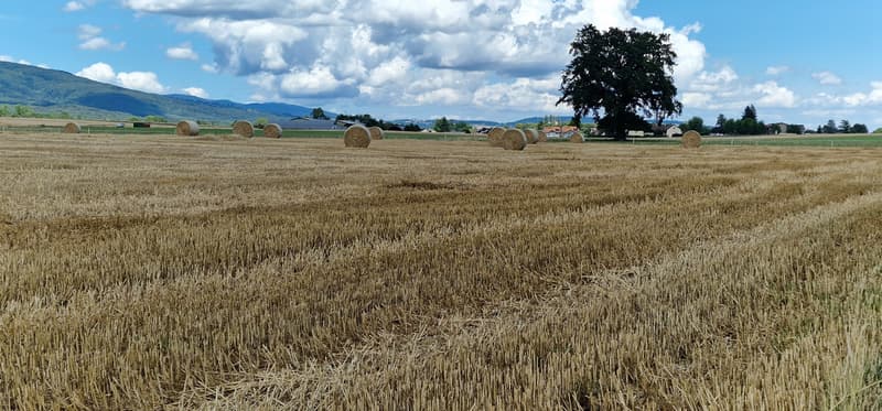 The prestigious and authentic family property, 5 minutes from Nyon (7)