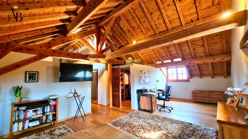 The prestigious and authentic family property, 5 minutes from Nyon (4)