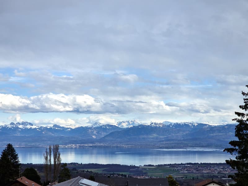 En exclusivité: Villa familiale avec vue lac idéalement située à Arzier-Le Muids (3)