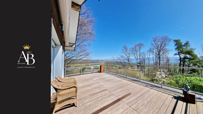 Eine einzigartige, zeitgenössische und individuelle Villa / Wohnviertel und begehrt (4)