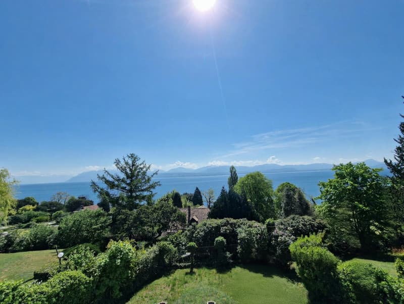 Exclusive with Abby Bryand Real Estate: Magnificent lake-view house in Buchillon (4)