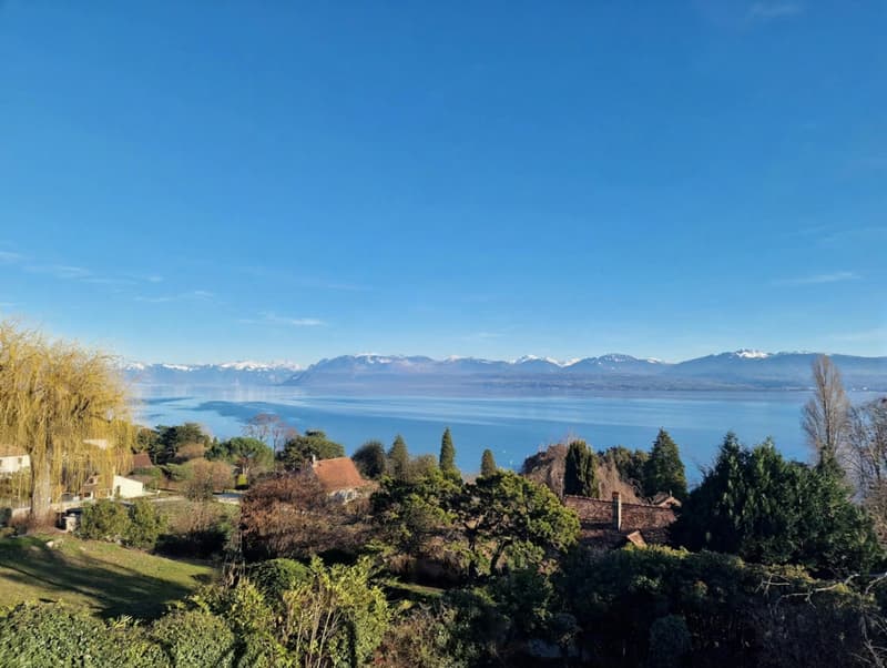 Exclusive with Abby Bryand Real Estate: Magnificent lake-view house in Buchillon (3)