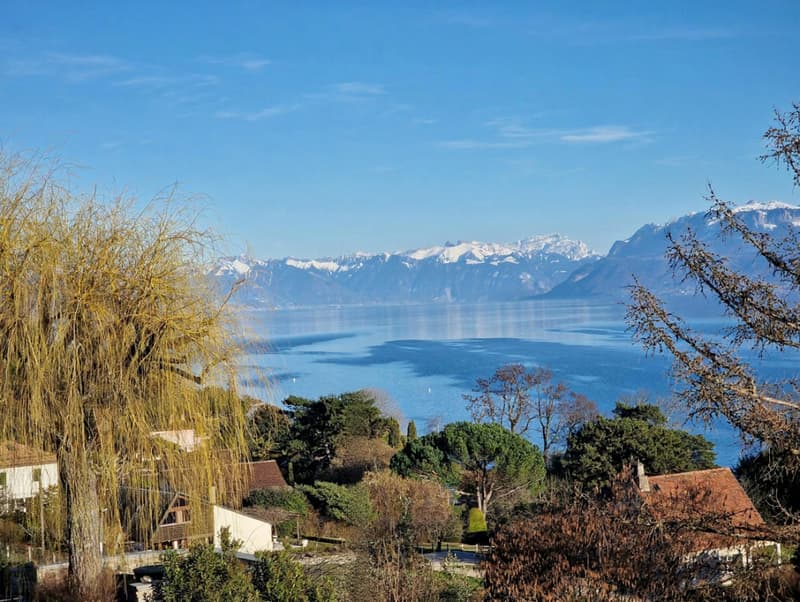 Exclusive with Abby Bryand Real Estate: Magnificent lake-view house in Buchillon (2)