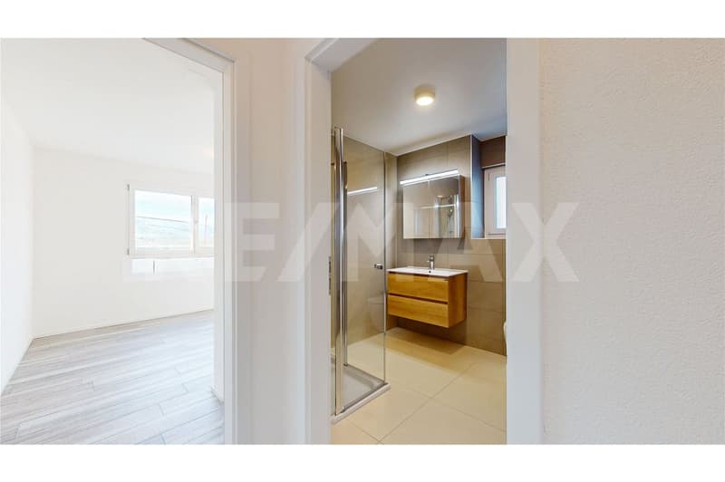 Magnificent 3.5 rooms of 100 m2, 15 minutes from the center of Fribourg / RE/MAX exclusivity (3)