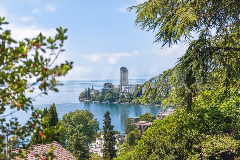 Territet: Un appartement de caractère, entre lac et montagnes, pour savourer le temps (10)