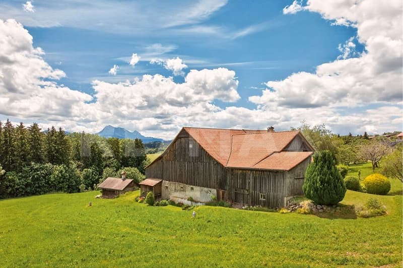 Une ferme de caractère et bien plus encore (8)