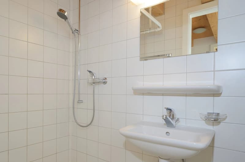 white tiled walls, shower, sink, mirror, wooden ceiling