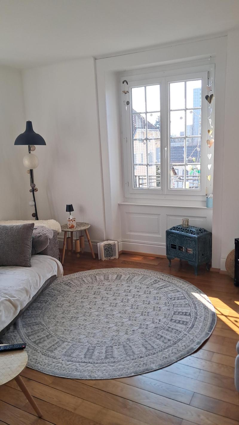 living room with couch, round rug, lamp, side table, window, decorative items