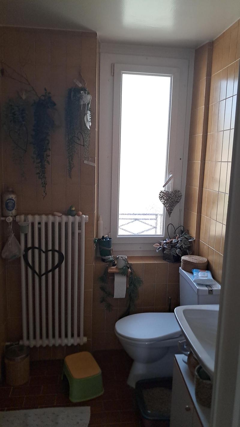 Bathroom with toilet, sink, radiator, window, plants, and a rug