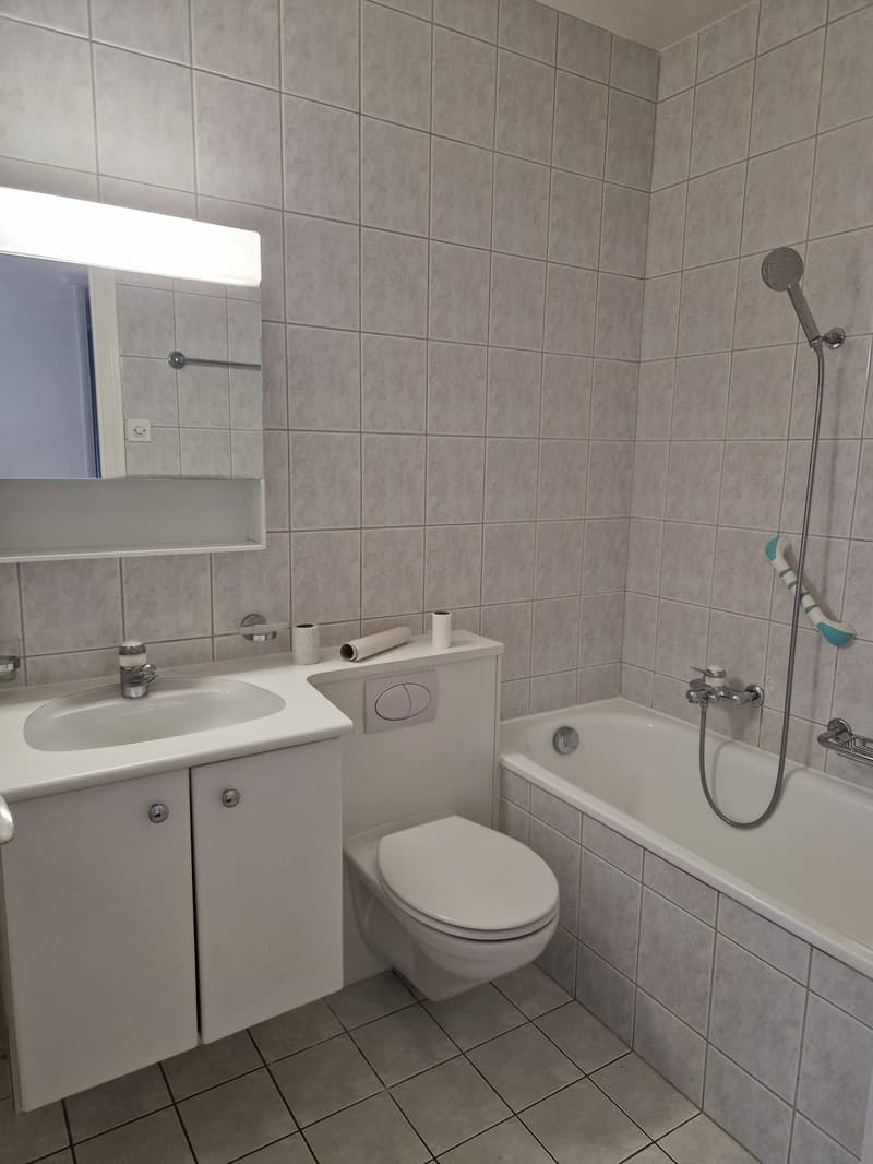 Appartamento di 3.5 locali con vista sul lago (7)