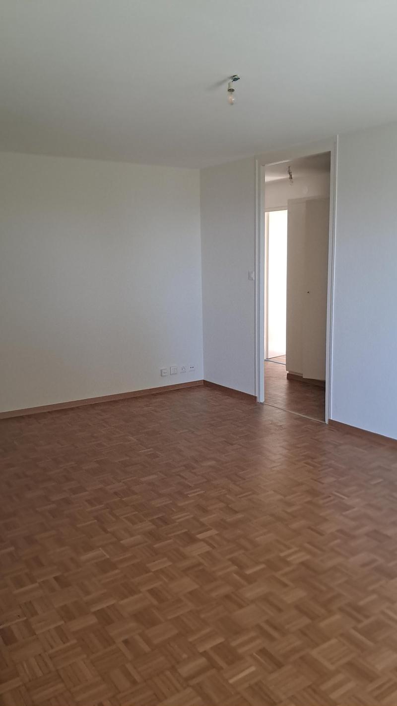 Appartamento di 3.5 locali al pian terreno con giardino a Penthaz (6)