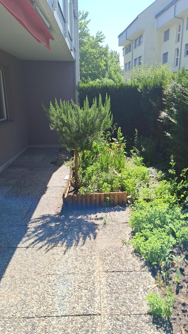 Appartamento di 3.5 locali al pian terreno con giardino a Penthaz (5)