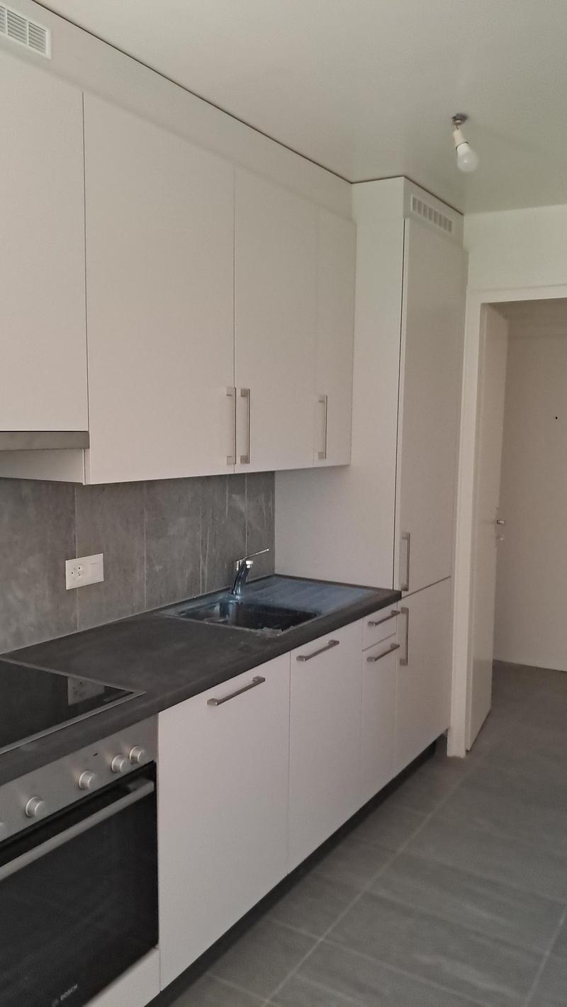 Appartamento di 3.5 locali al pian terreno con giardino a Penthaz (3)