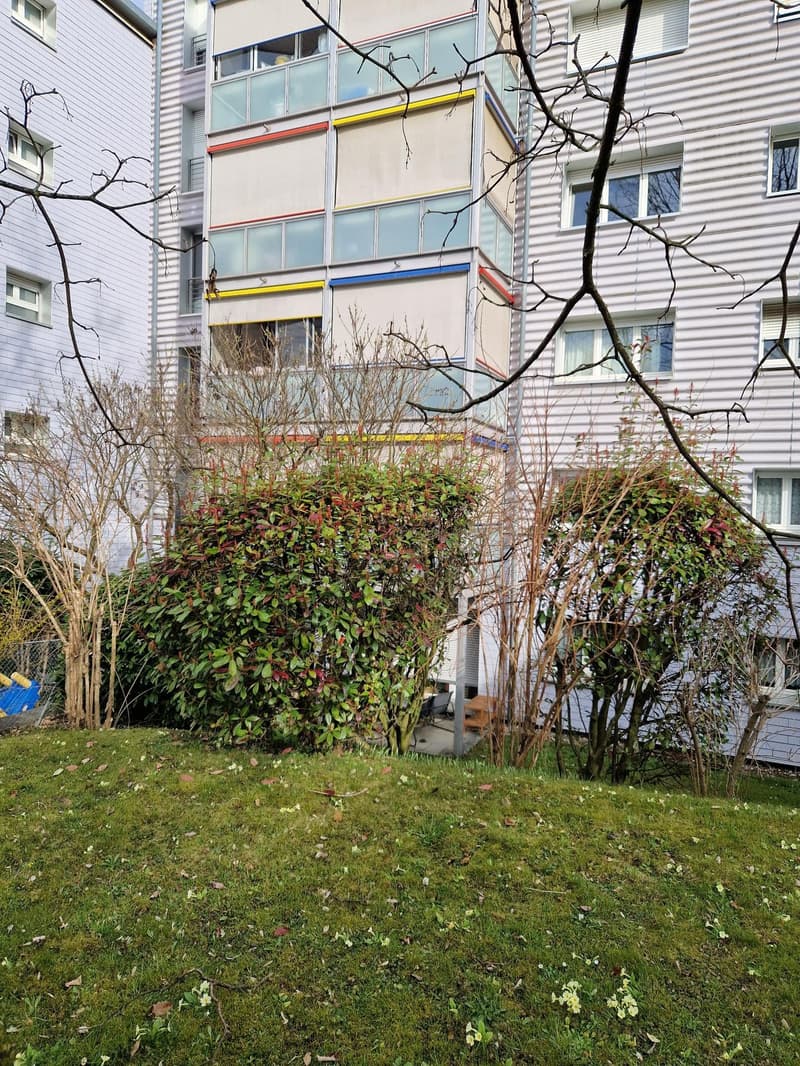Appartamento di 1.5 locali in affitto nel quartiere di Bellevaux (1)