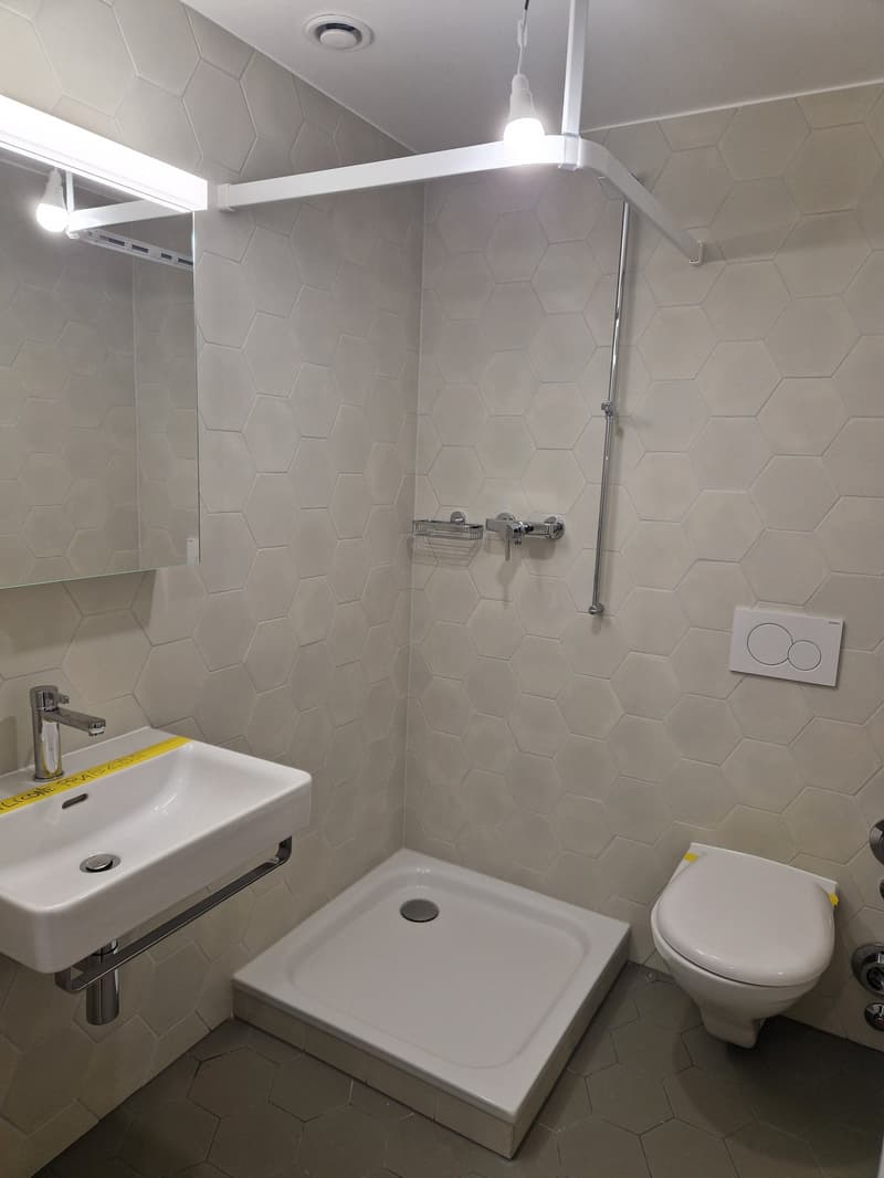 Vari studios completamente rinnovati su Avenue de Morges (2)
