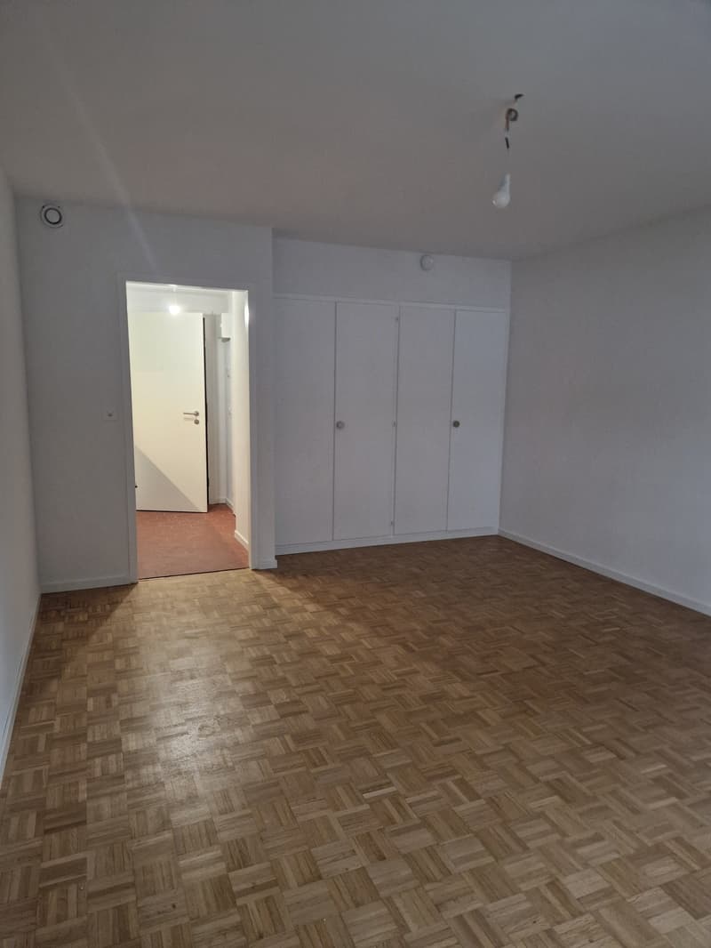 Vari studios completamente rinnovati su Avenue de Morges (3)