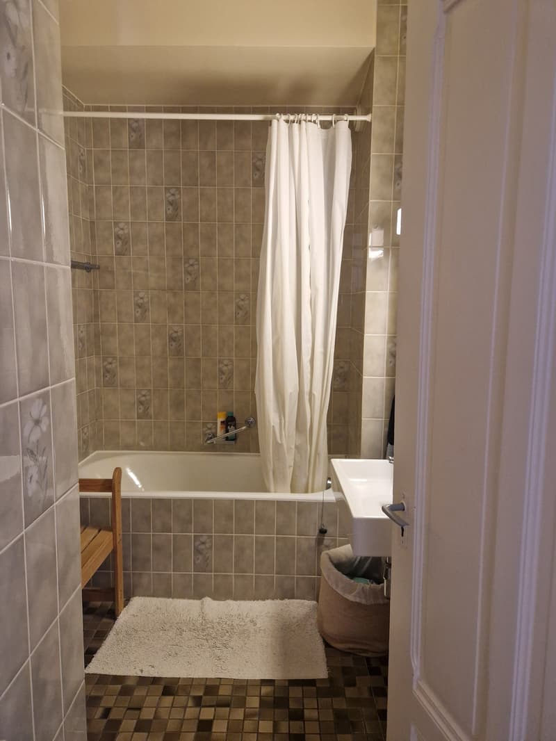 Zweizimmerwohnung in Lausanne (4)