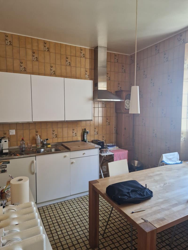 Zweizimmerwohnung in Lausanne (3)