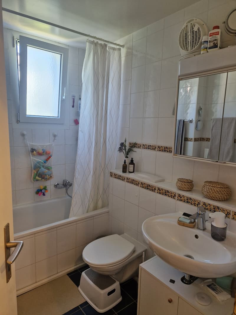 Beautiful 3.5-room apartment close to CHUV (6)