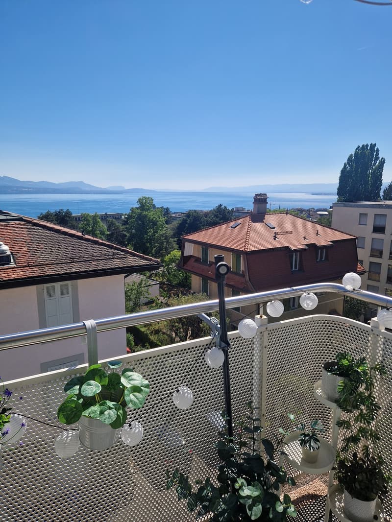 Beautiful 3.5-room apartment close to CHUV (2)