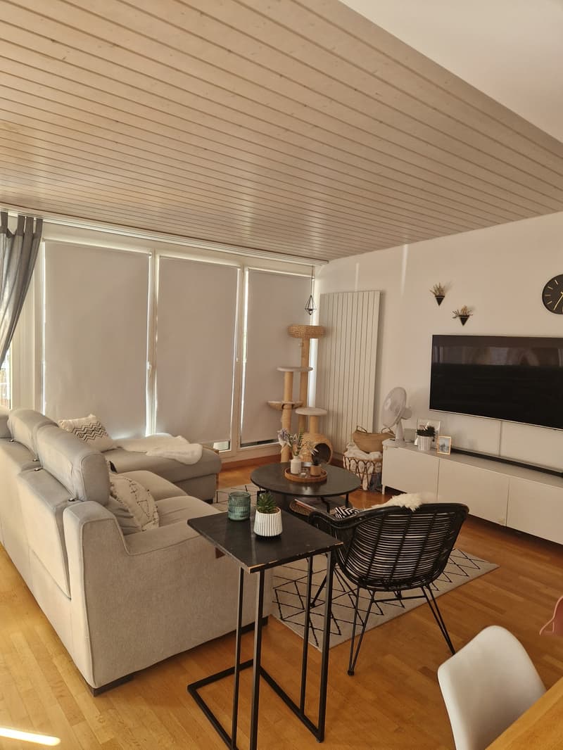 Beautiful 3.5-room apartment close to CHUV (4)