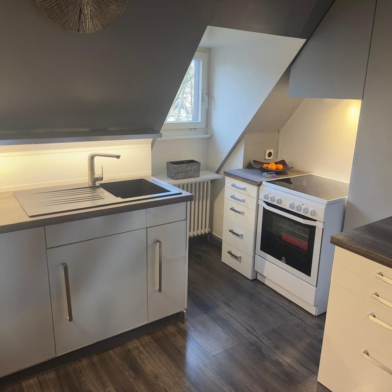 3.5-room apartment on the 3rd floor in the Bellevaux neighborhood (3)