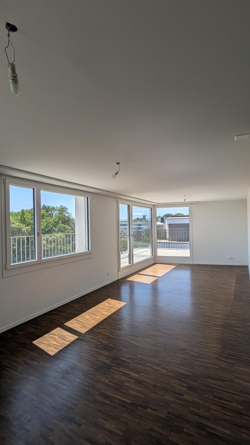 Bright 4-room apartment with balcony and lake and mountain views (2)