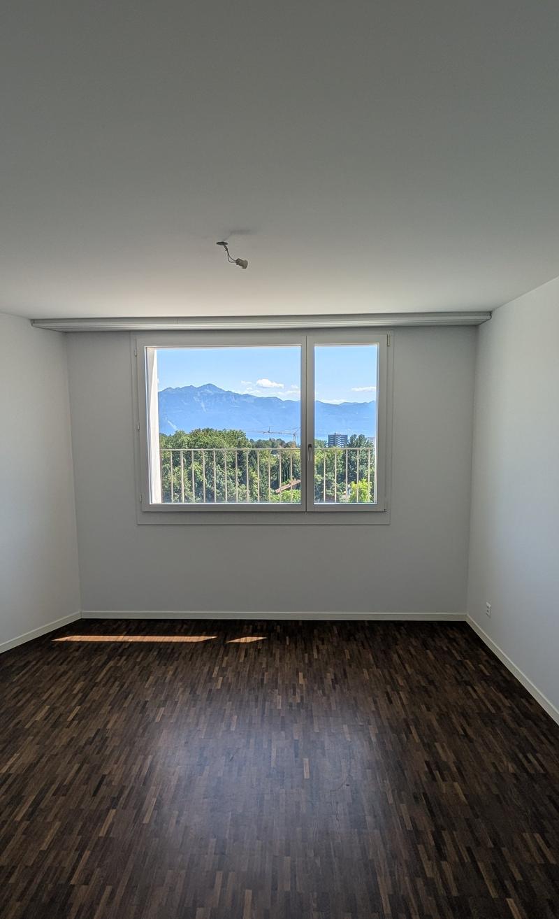 Bright 4-room apartment with balcony and lake and mountain views (3)