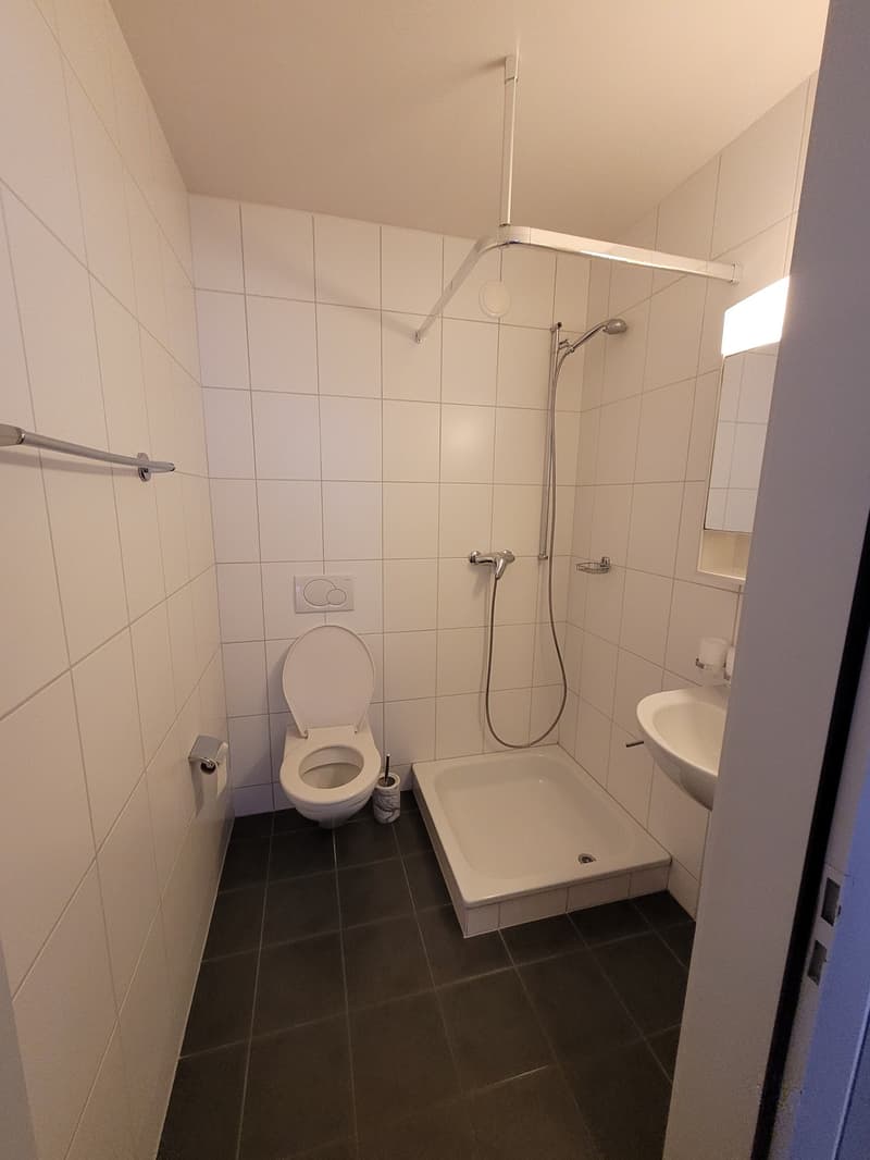 Geräumige 4.5-Zimmer-Wohnung mit Balkon in Renens (2)