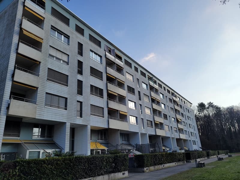 Geräumige 4.5-Zimmer-Wohnung mit Balkon in Renens (1)