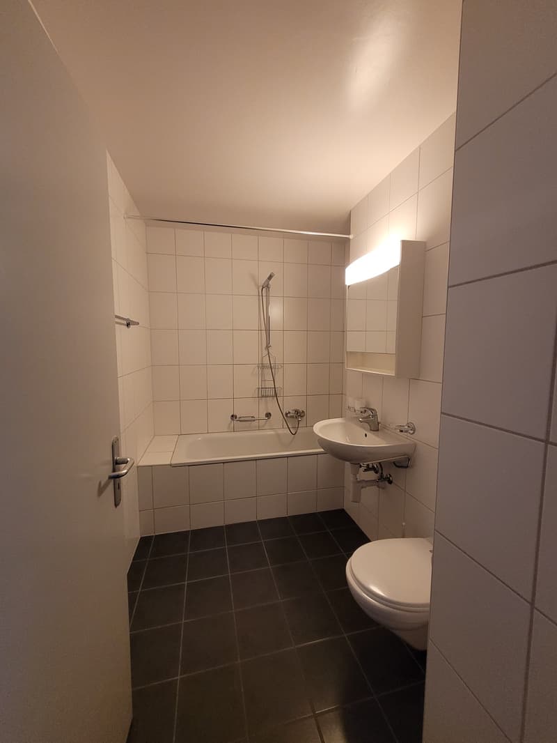 Geräumige 4.5-Zimmer-Wohnung mit Balkon in Renens (5)