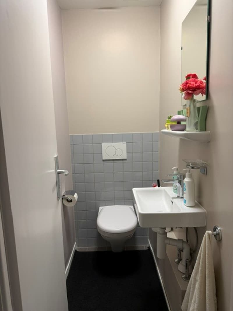 Appartement 4 pièces rénové avec balcon à Chavannes-près-Renens (9)