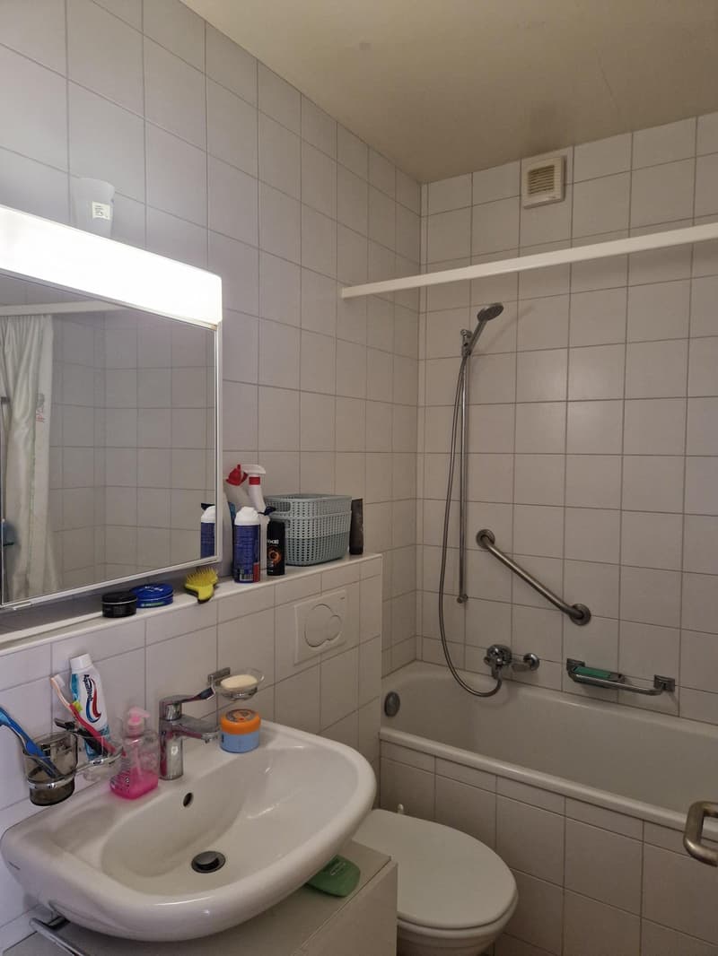 Charmant appartement 2.5 pièces avec vue (5)