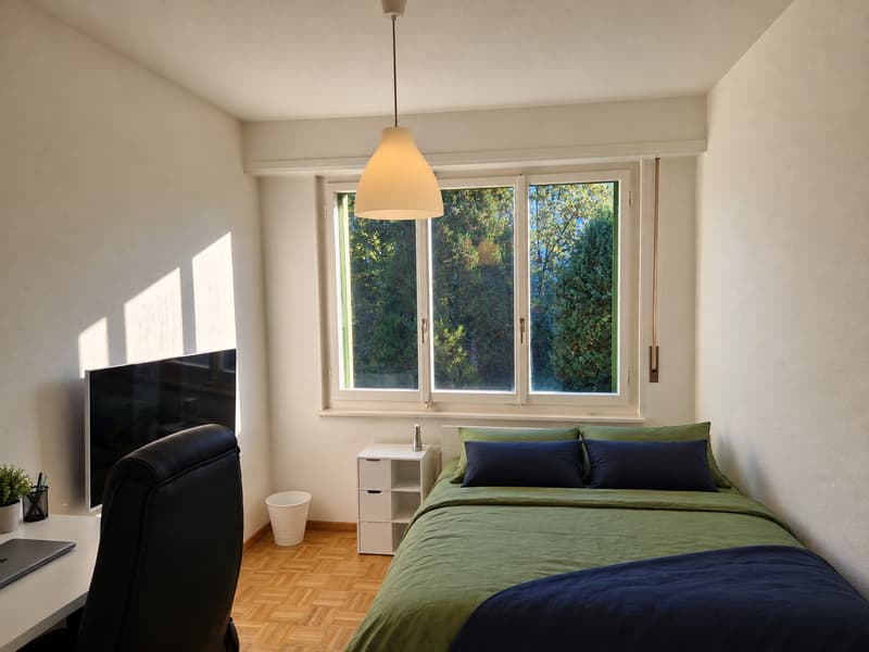 Appartement de 4.5 pièces avec vue (3)