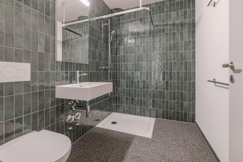 7.5 Zimmerwohnung in Biel (8)