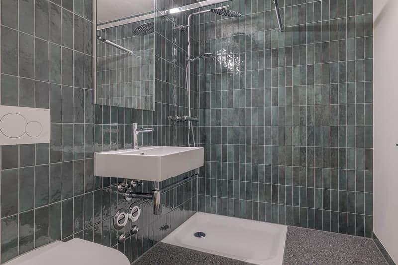 7.5 Zimmerwohnung in Biel (5)