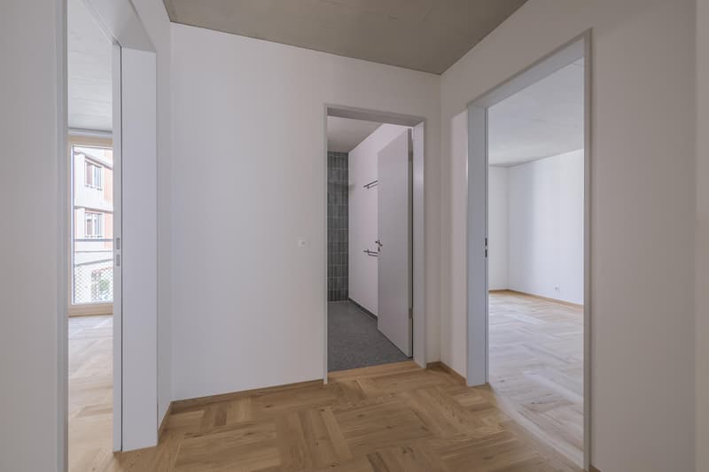 7.5 Zimmerwohnung in Biel (8)