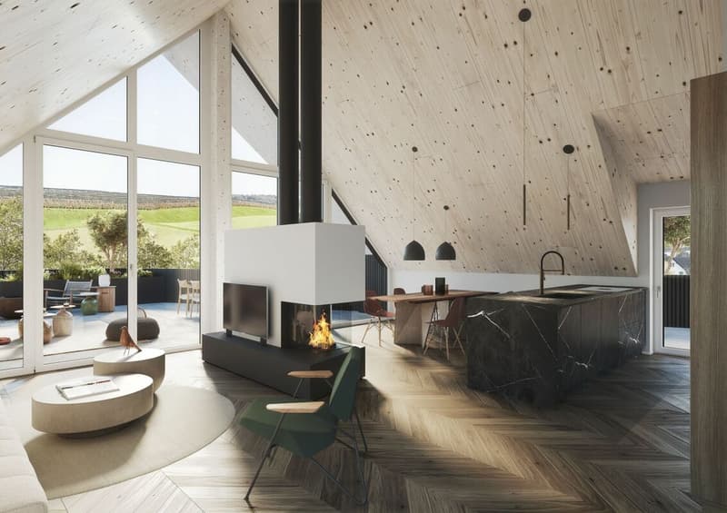 Edificio nuovo THE PEAR appartamento in mansarda di 3,5 locali (2)