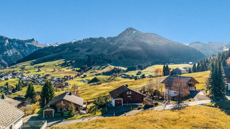 Modern Chalet with Sustainable Construction and Mountain Panorama (2)
