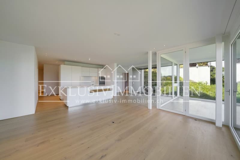 Luxury apartment with lake and distant view and bright winter garden (3)