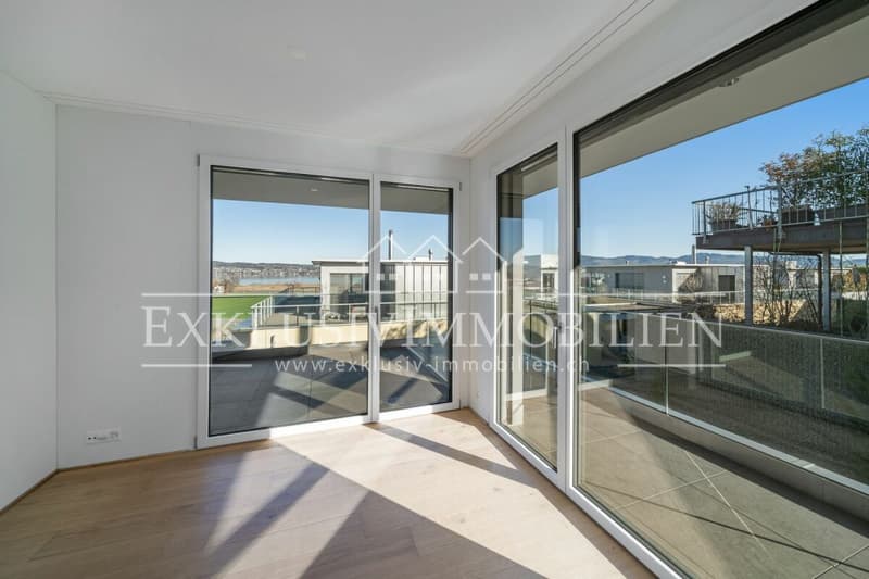 Luxury apartment with lake and distant view and bright winter garden (6)
