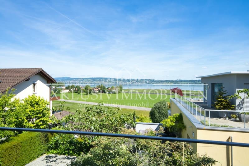 Luxury apartment with lake and distant view and bright winter garden (1)