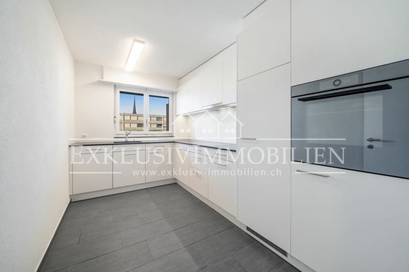 Appartement fraîchement rénové dans un excellent emplacement (2)