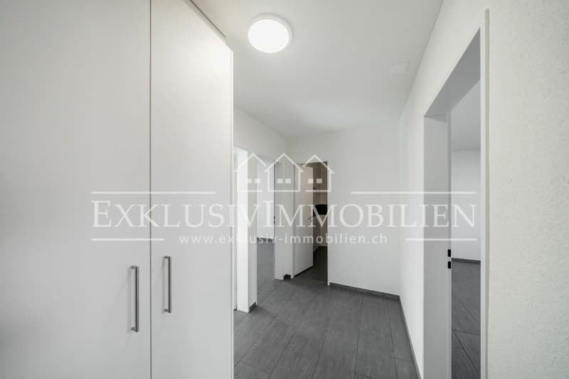 Appartement fraîchement rénové dans un excellent emplacement (5)