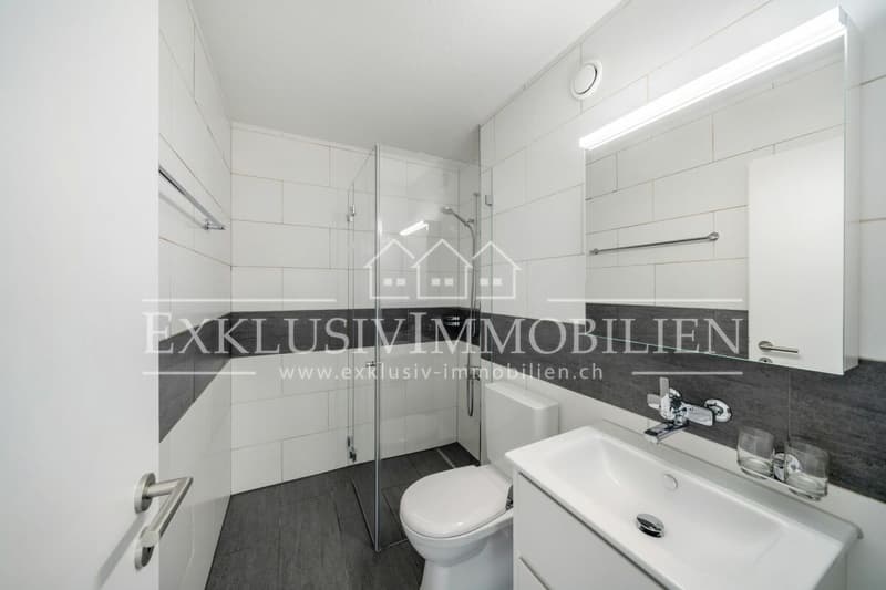 Appartement fraîchement rénové dans un excellent emplacement (4)