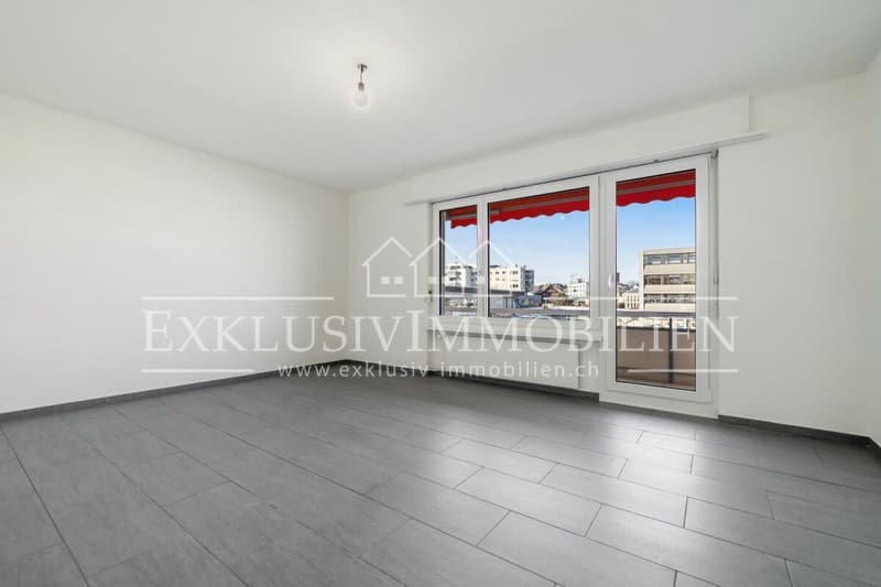 Appartement fraîchement rénové dans un excellent emplacement (3)